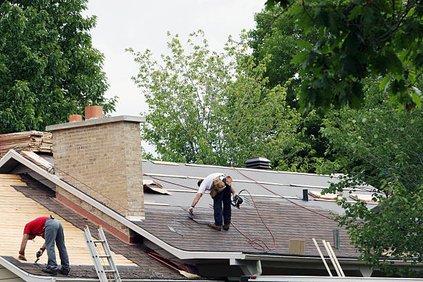 Quick and Trustworthy Emergency Roof Repair Services in North Alamo, TX