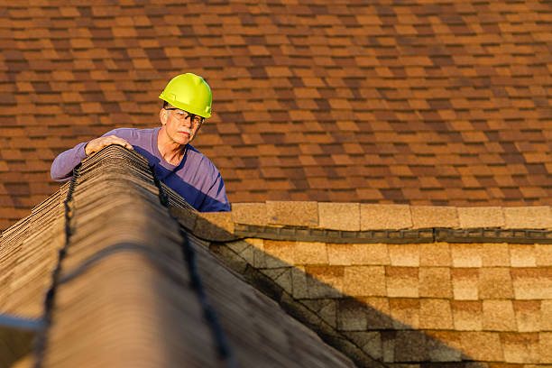 Professional Roofing Contractor in North Alamo, TX